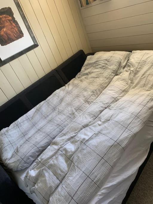 Quiet, Centrally-located Apartment, Parking Included
